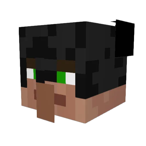 ILIKETOES116251 Minecraft avatar head, 3D render