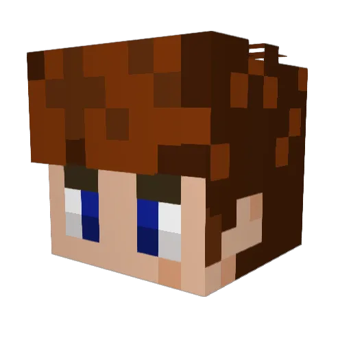 ILLEGALS1 Minecraft avatar head, 3D render