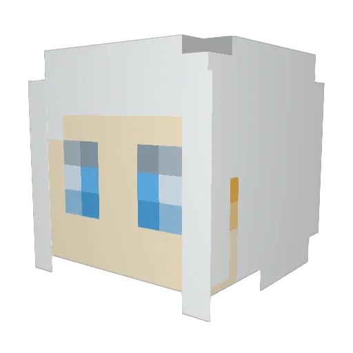 ILLUNESS Minecraft avatar head, 3D render