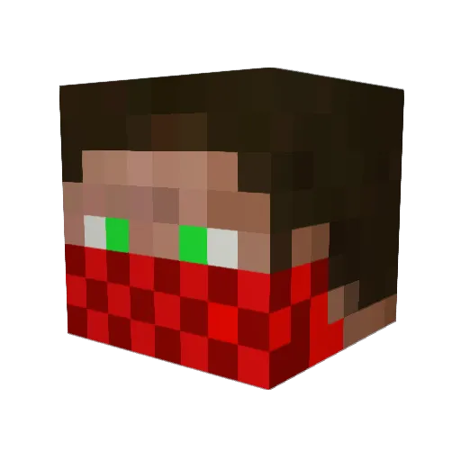 ILOST19 Minecraft avatar head, 3D render