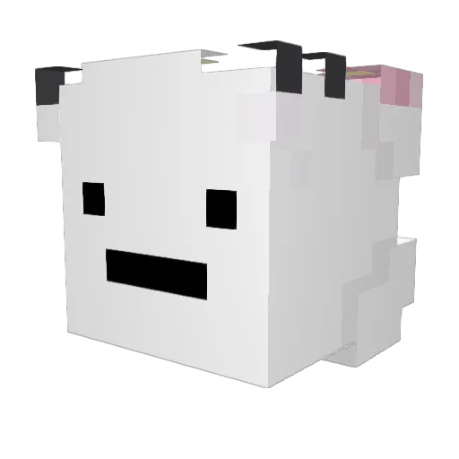 ILOVECONETOO_ Minecraft avatar head, 3D render