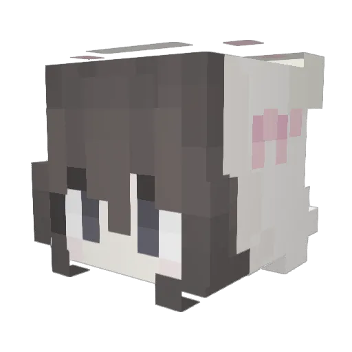 ILOVEEWAFFLES Minecraft avatar head, 3D render