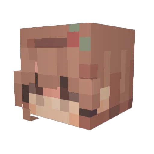 ILOVEMEGIRLFRIEN Minecraft avatar head, 3D render