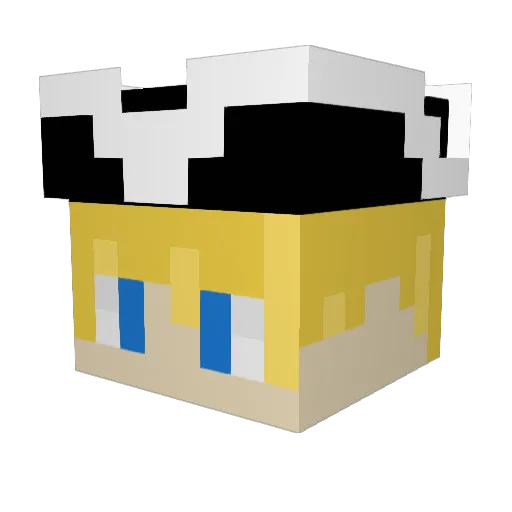 ILOVEreeeeee Minecraft avatar head, 3D render