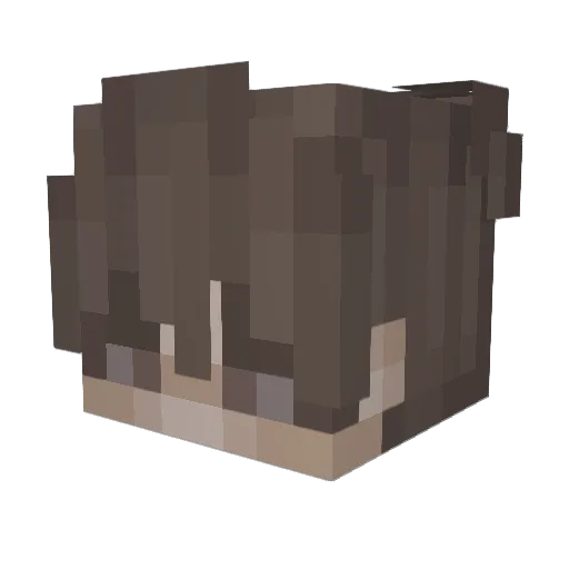 ILYSOMUCHCootile Minecraft avatar head, 3D render