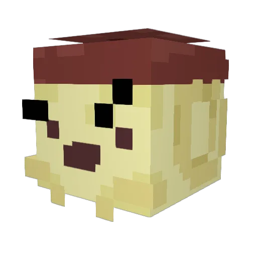 ILikeDaFruit Minecraft avatar head, 3D render