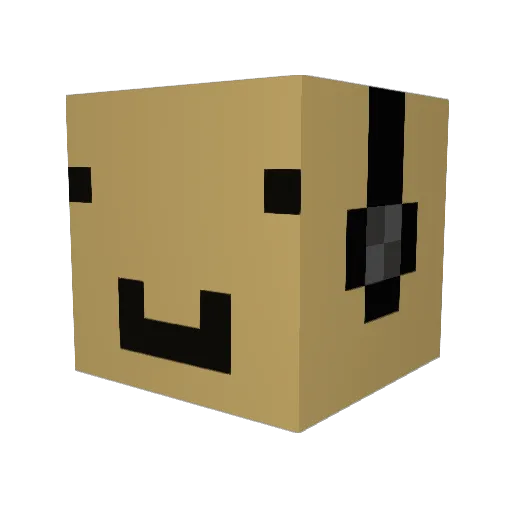 ILikeMemes554 Minecraft avatar head, 3D render