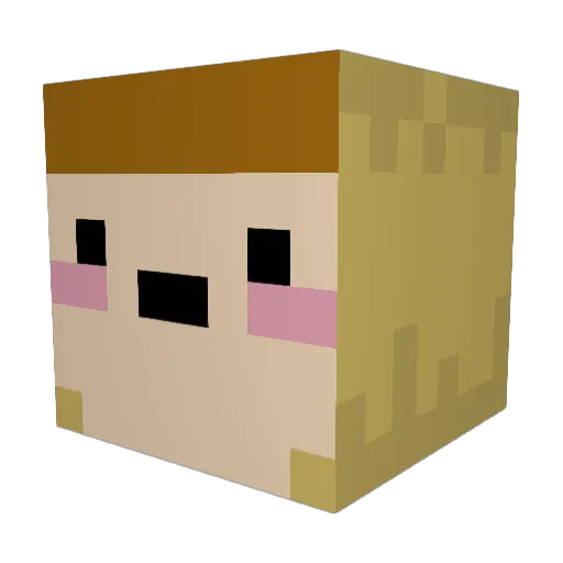 ILikeMoss100 Minecraft avatar head, 3D render