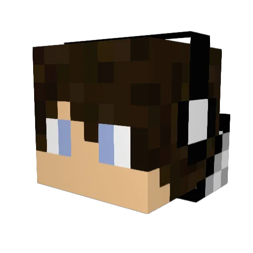 ILikesSalt Minecraft avatar head, 3D render