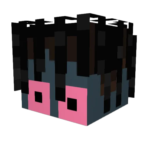 ILiveInAfrica Minecraft avatar head, 3D render