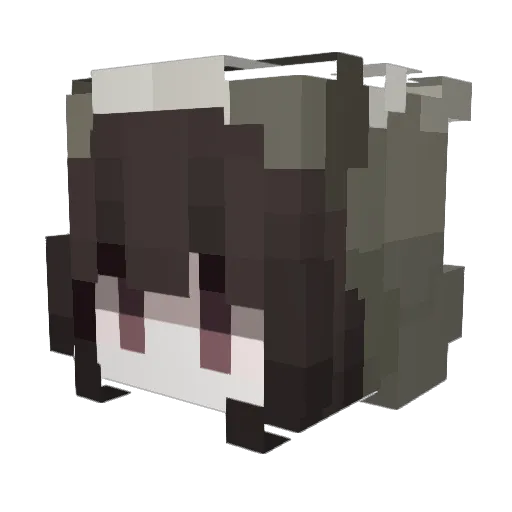 ILostMyAlmond Minecraft avatar head, 3D render