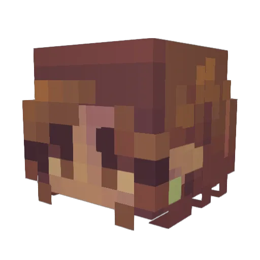 ILoveAxolotls72 Minecraft avatar head, 3D render