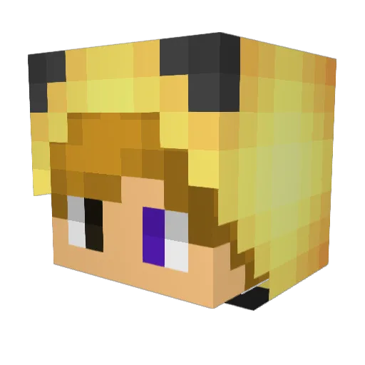 ILoveBaums Minecraft avatar head, 3D render