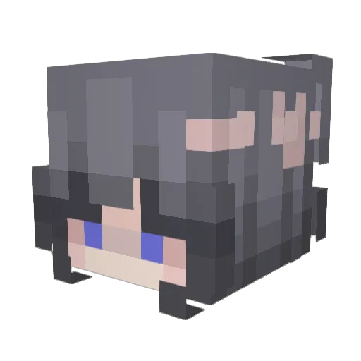ILoveBrownyEz Minecraft avatar head, 3D render