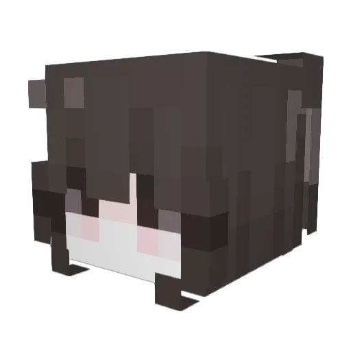 ILoveFatBunnies Minecraft avatar head, 3D render