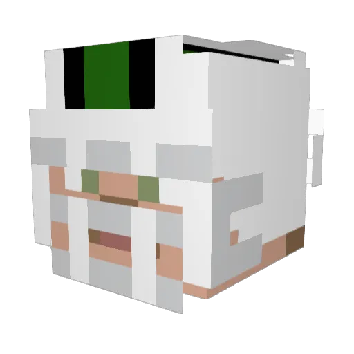 ILoveJoshAllen17 Minecraft avatar head, 3D render