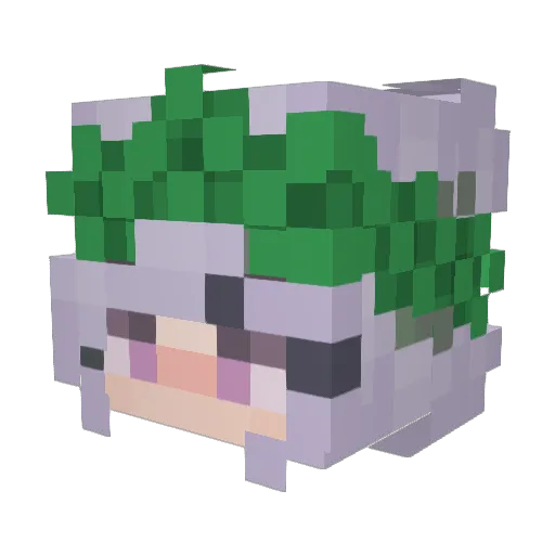 ILoveMennnnn Minecraft avatar head, 3D render
