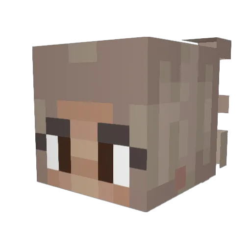 ILoveMinewind Minecraft avatar head, 3D render