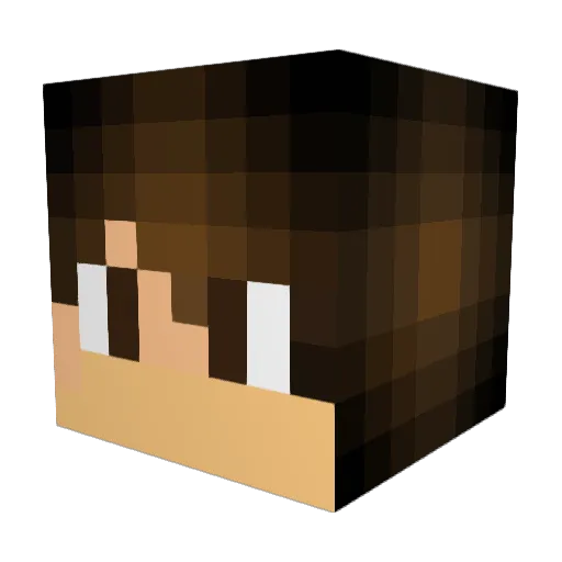 ILoveMonsters Minecraft avatar head, 3D render