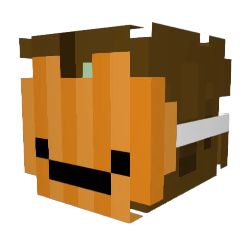 ILoveMyEx123 Minecraft avatar head, 3D render