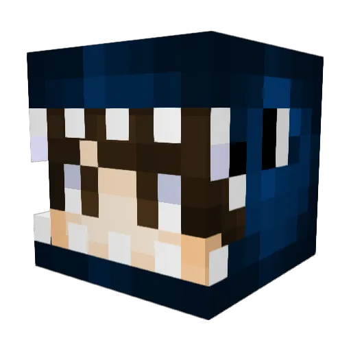 ILoveMyStick Minecraft avatar head, 3D render
