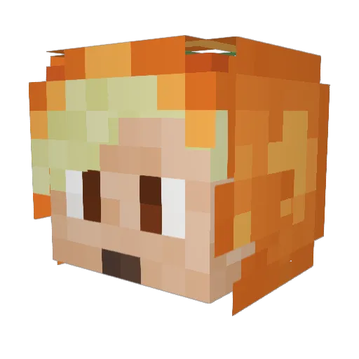 ILoveMyTreeBobby Minecraft avatar head, 3D render