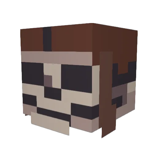 ILovePolannd Minecraft avatar head, 3D render