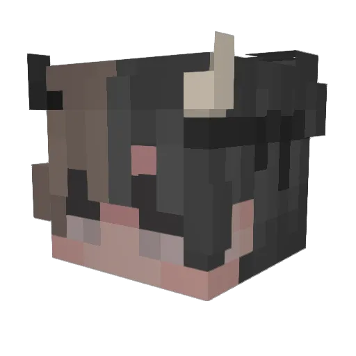 ILoveRaymond123 Minecraft avatar head, 3D render
