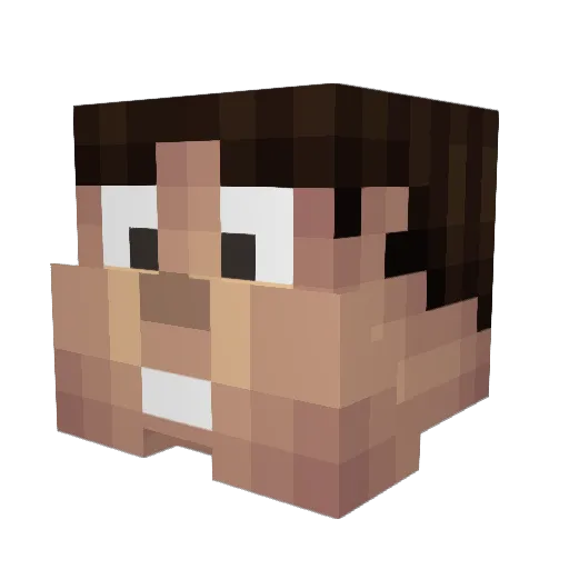 ILoveSardines Minecraft avatar head, 3D render