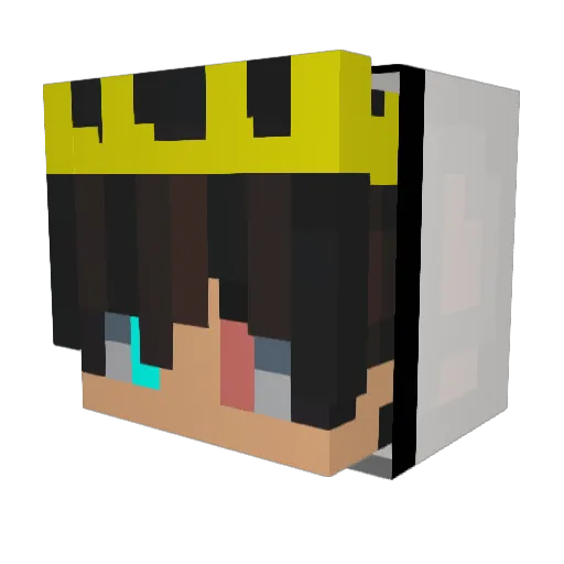 ILoveSusBeans Minecraft avatar head, 3D render