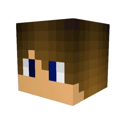 ILoveTDM Minecraft avatar head, 3D render