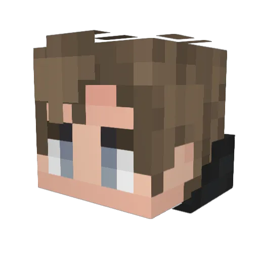 ILoveTheHypixel Minecraft avatar head, 3D render