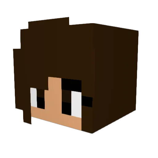 ILoveThomas14 Minecraft avatar head, 3D render