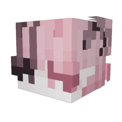 ILoveYouSheila Minecraft avatar head, 3D render