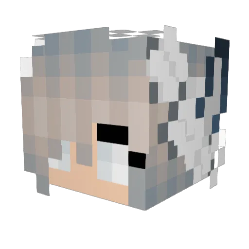 ILove_Pufferfish Minecraft avatar head, 3D render