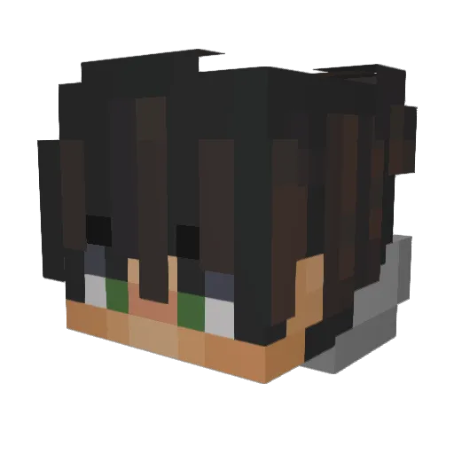 ILuvKoala Minecraft avatar head, 3D render