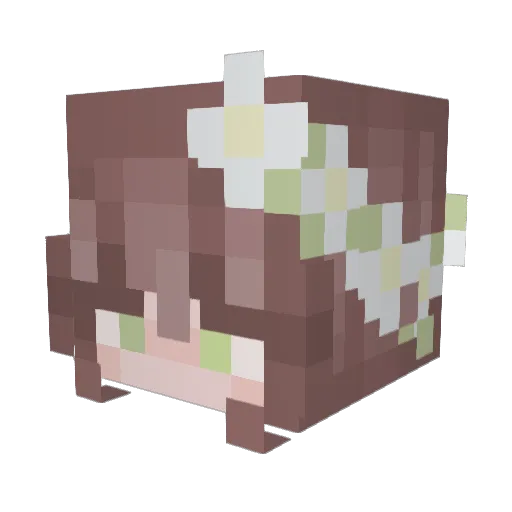 ILuvRome Minecraft avatar head, 3D render