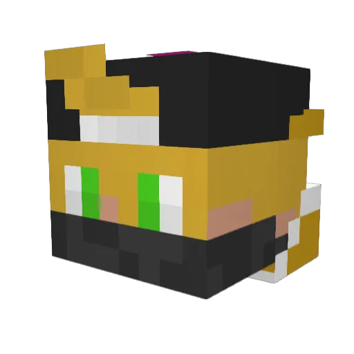IM4ximusI Minecraft avatar head, 3D render