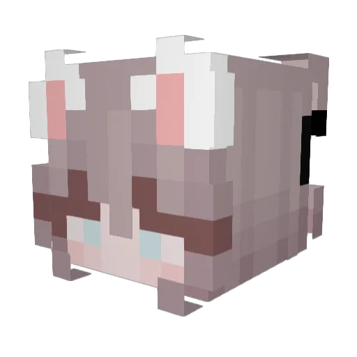 IMCHIAD Minecraft avatar head, 3D render