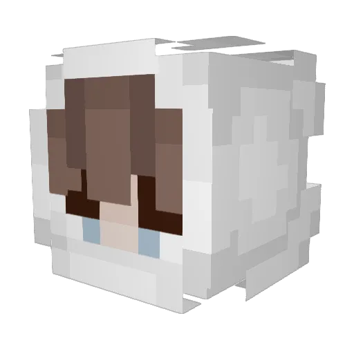 IMFAIB Minecraft avatar head, 3D render