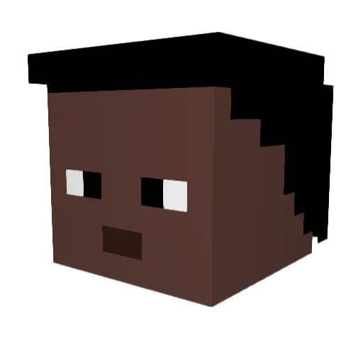 IMFARTINGPOO Minecraft avatar head, 3D render