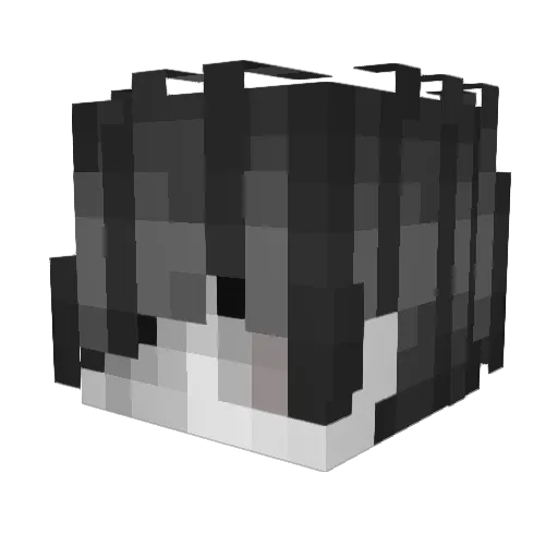 IMGOINBACKTO505 Minecraft avatar head, 3D render