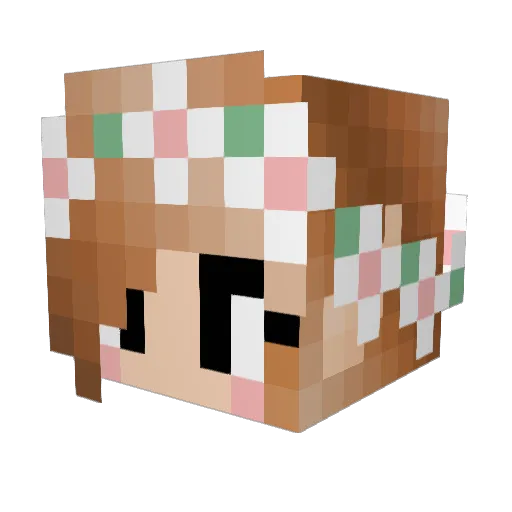 IMGluten Minecraft avatar head, 3D render