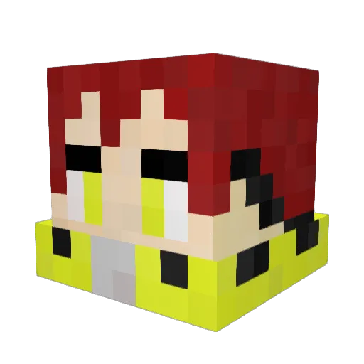 IMMRI Minecraft avatar head, 3D render