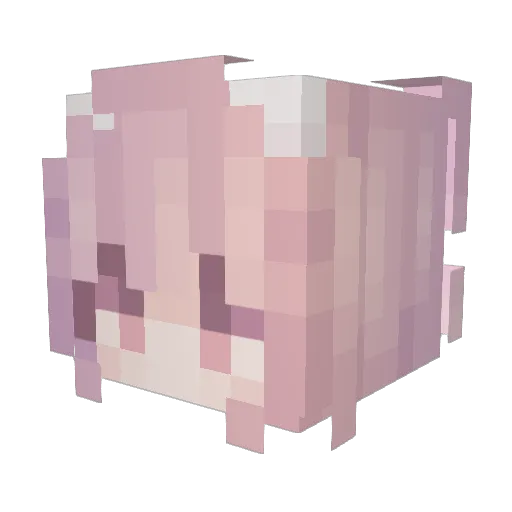 IMODOSALMEJ Minecraft avatar head, 3D render