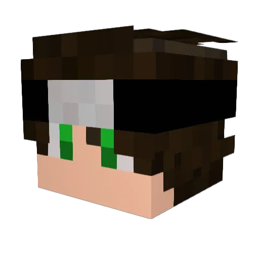 IMTOFUCKINGCHEAT Minecraft avatar head, 3D render