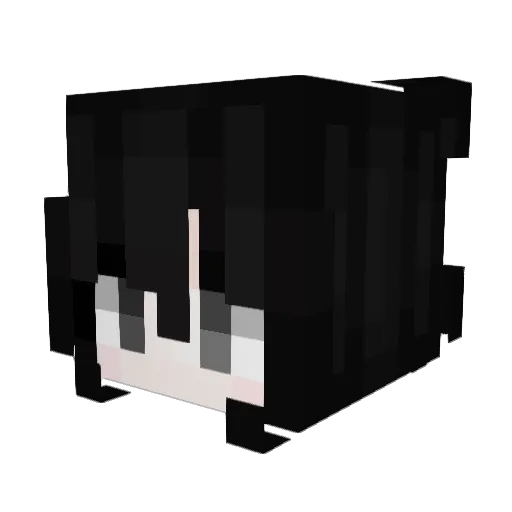 IMYOURBIAS Minecraft avatar head, 3D render