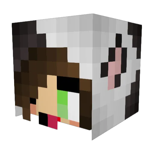 IM_PRO_GAMER Minecraft avatar head, 3D render