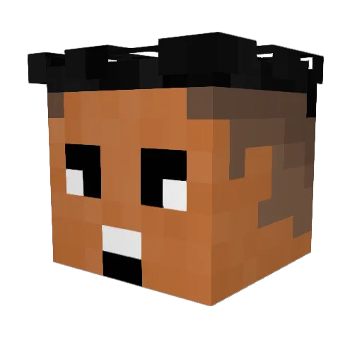IM_RAW_AF Minecraft avatar head, 3D render