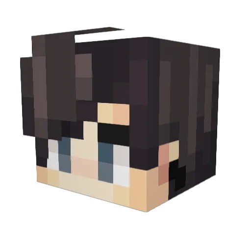 IM_SkillS Minecraft avatar head, 3D render